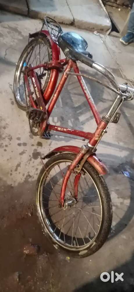 Gold Atlas titanium cycle