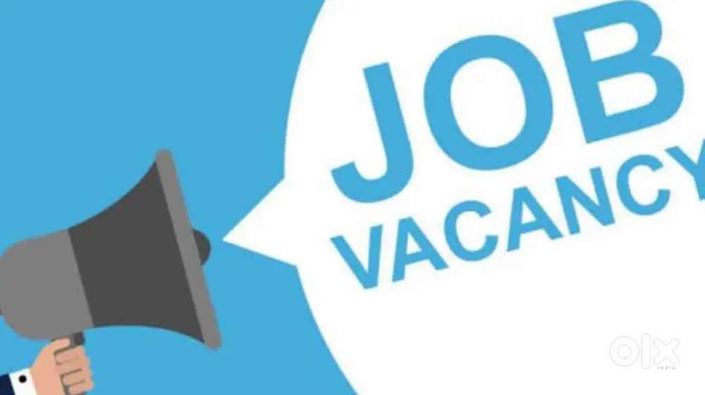 Telecaller and office assistant (M/F)