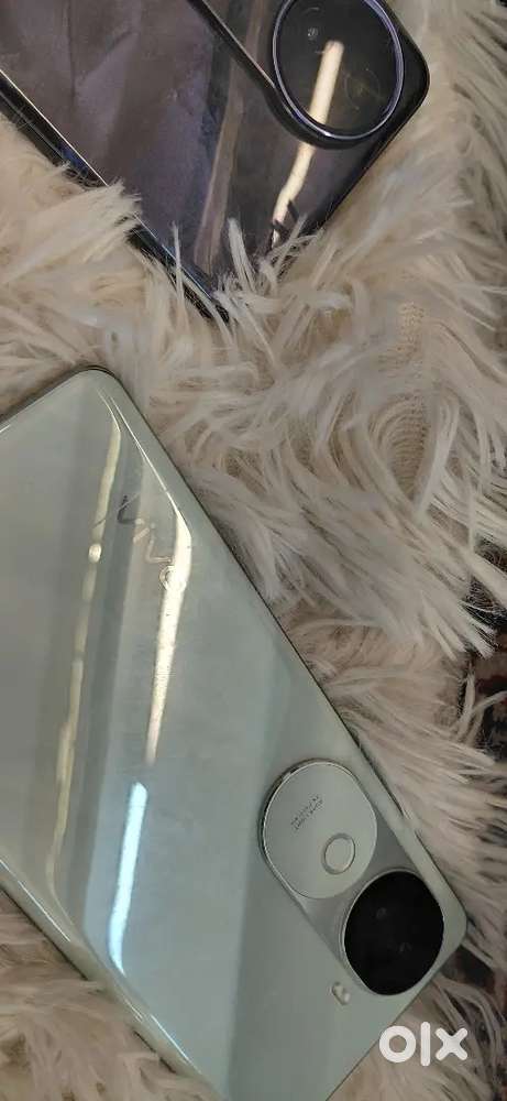 Vivo50 series phone demo piece in new condition