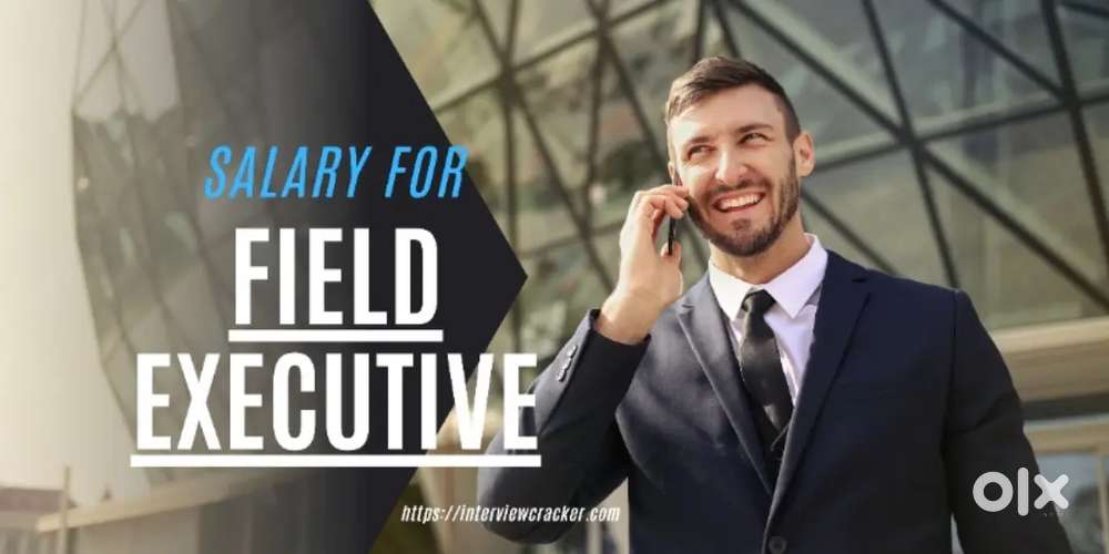 Field executive  job