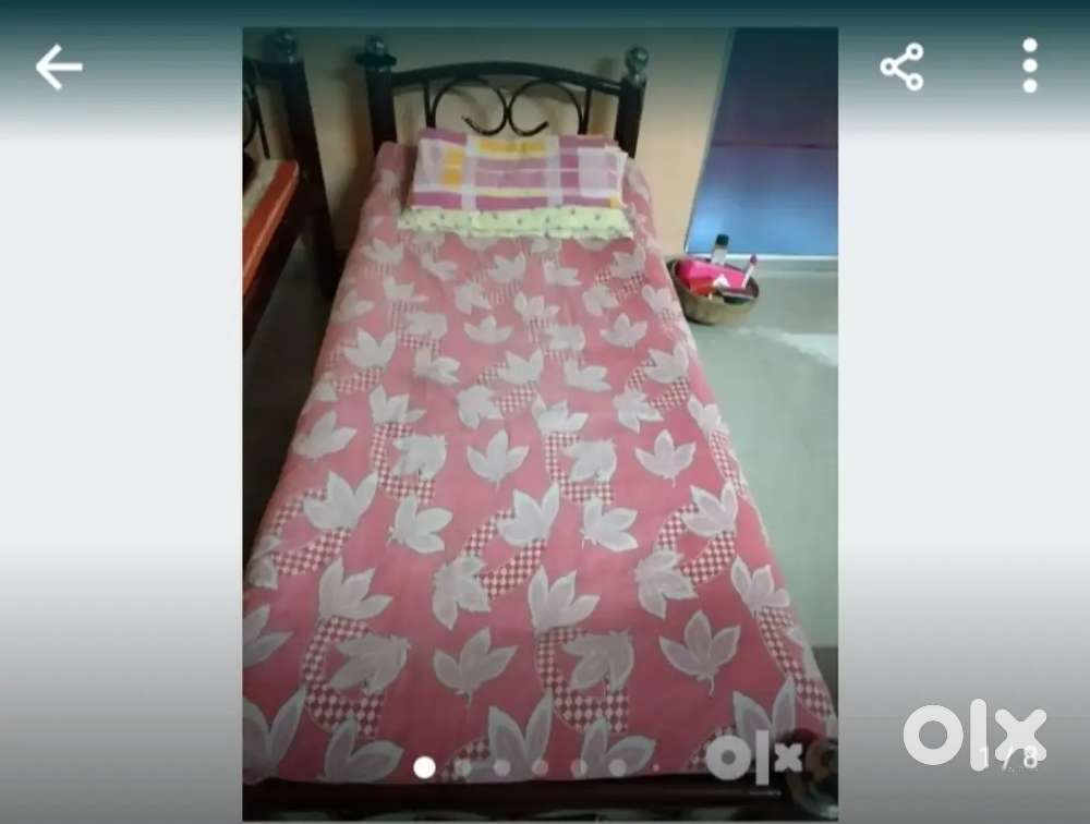 Lades  pg Nabanna howrah