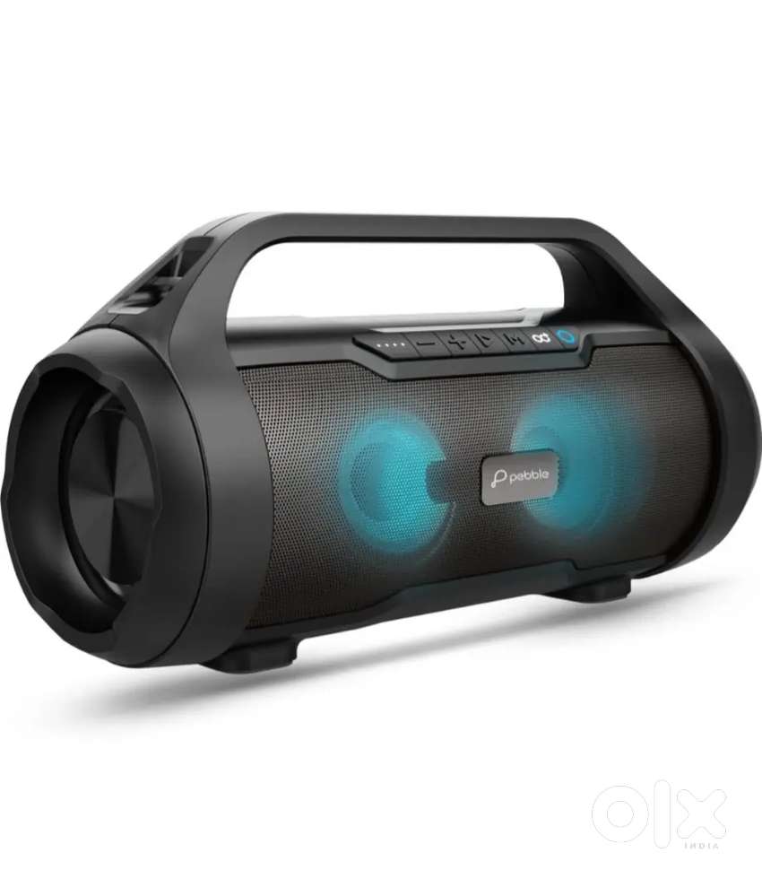 Pebble Thunder speaker