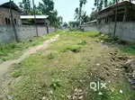 Land with house 3 kata 6 lesa Burigaon, Kharupetia