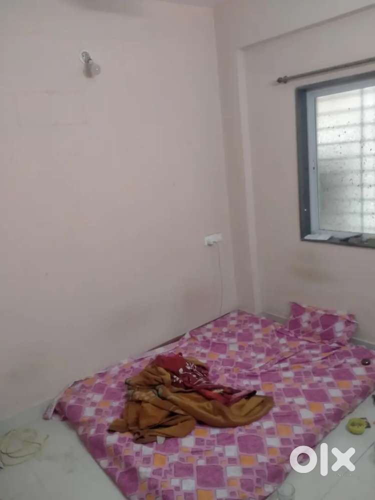 1bhk flat looking for a flatmate