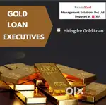 Sales executive ( Gold Loan)