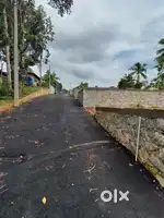 Powdikonam