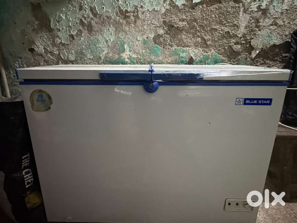 Blue star Commercial fridge for sale