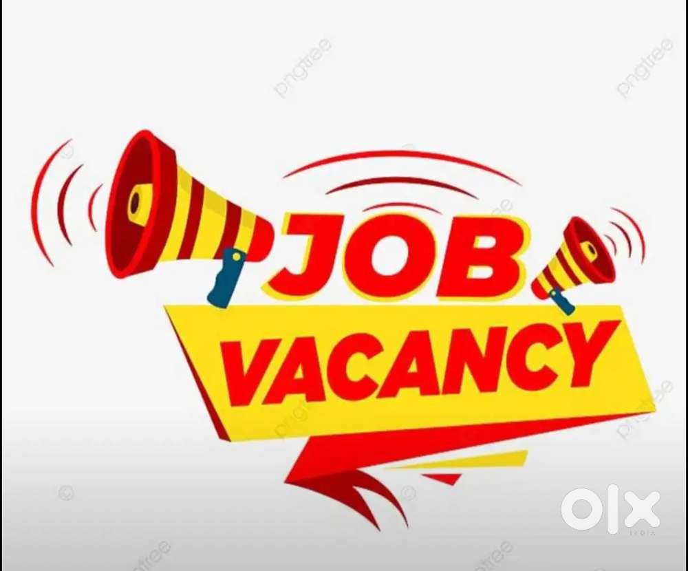 Work Opportunity for fresher and Experience for Office Work