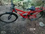Brand new cycle