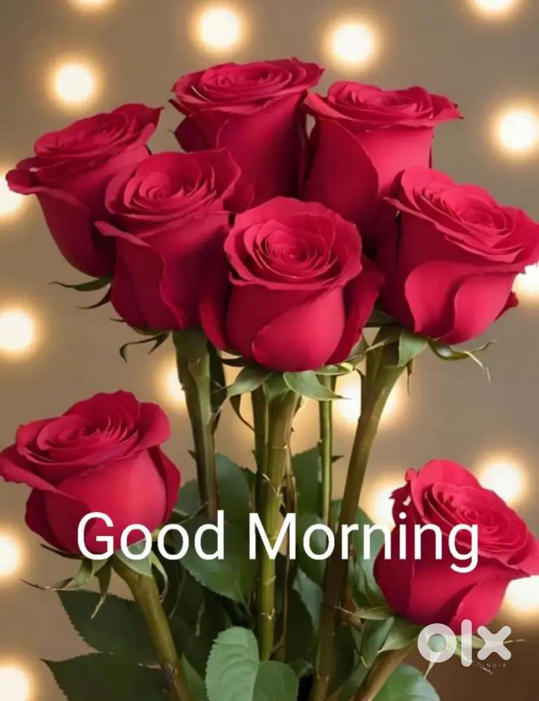 Tuition point 6to10class