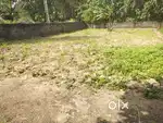 5 cent square plot