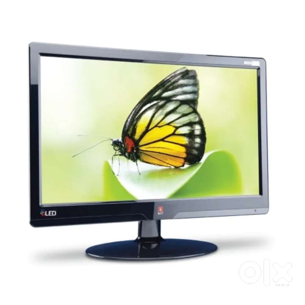 iBall Sparkle 19.5 inch LED Monitor