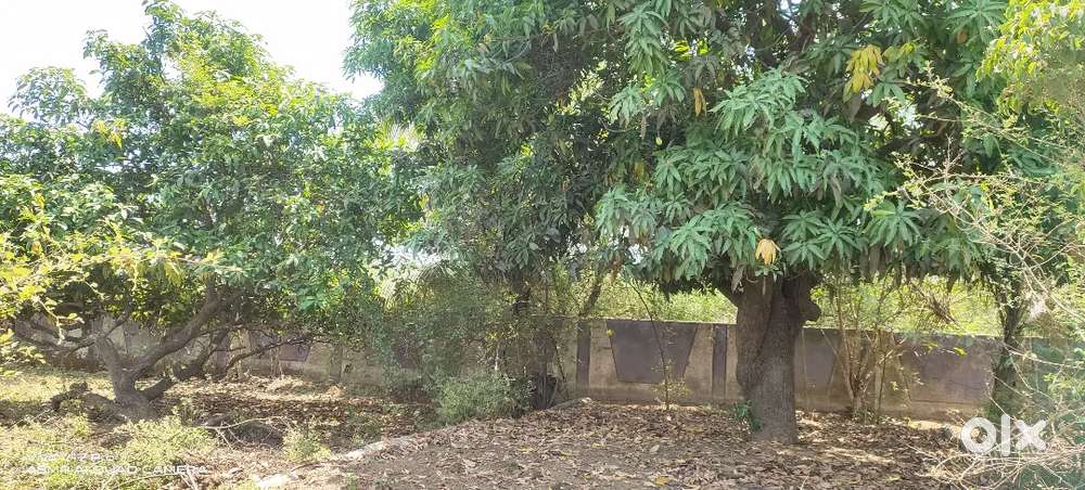 Surat Navsari Road Par Corner Plot