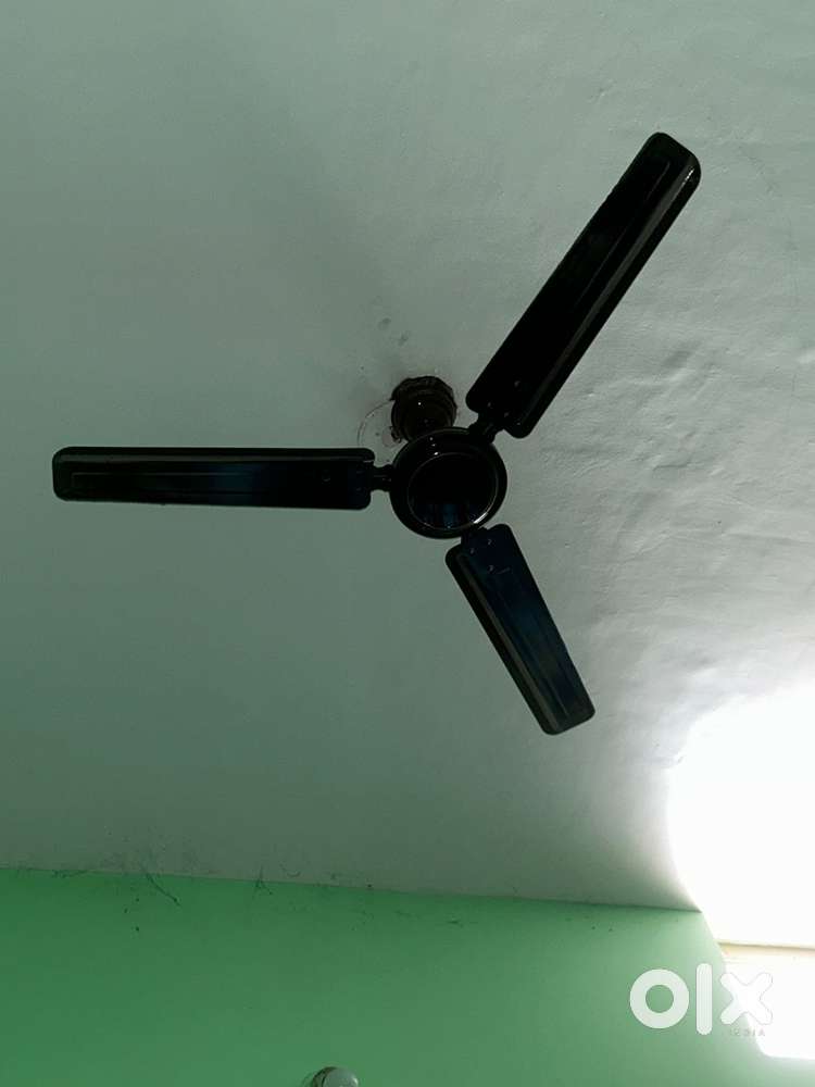 Ceiling Fan