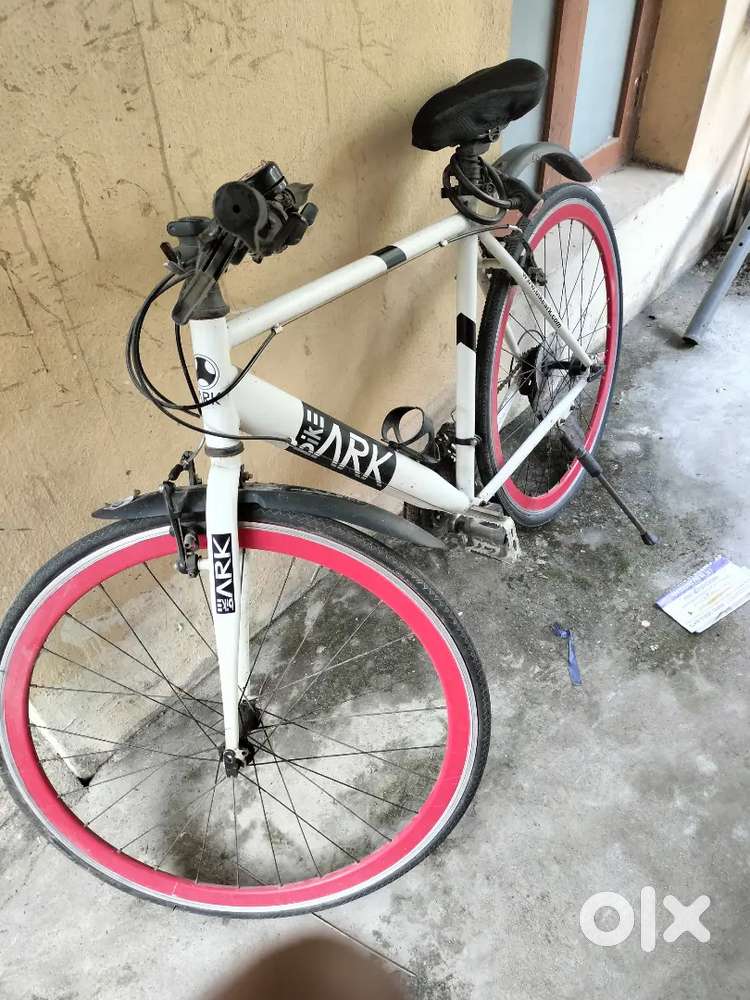Bikeark ark cycle
