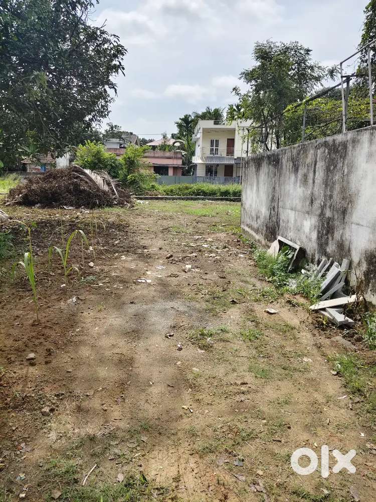 7.5 cents land for sale near edappally (muttar)