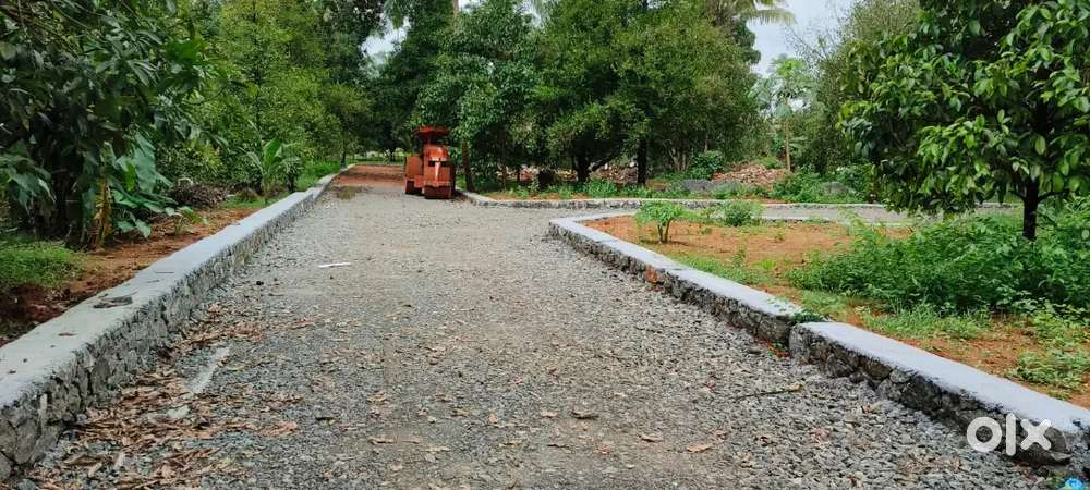 KARUKUTTY NEAR BY 2 KM 5,6,8, 10 CENT PLOTS AVAILABLE