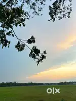 5 bigha land near Nalbari Medical collage and hospital(Negotiable)