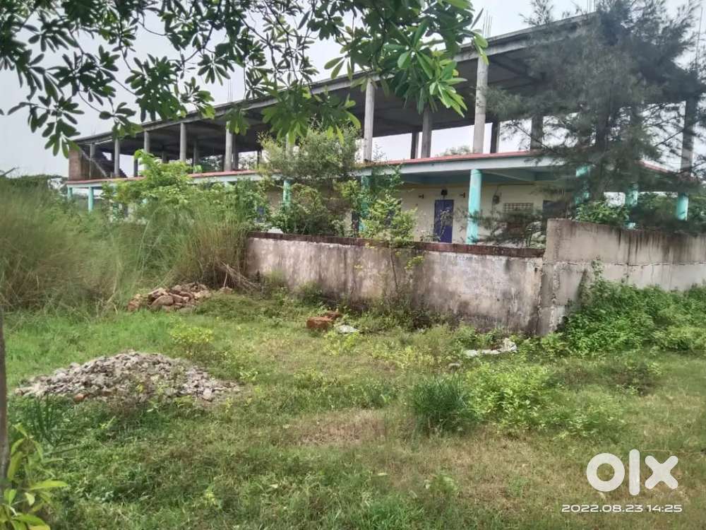 439 decimal and And School In Chhatrapur, Odisha Purushottampur