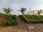 Plots avaliable in manghata(Rajwada farms)with 100%(finance facility).