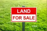 urgent sale plot