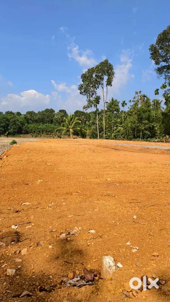 പാലാ ഉഴവൂർ റോഡിൽ ഹൗസ് പ്ലോട്ടുകൾ വിൽപ്പനയ്ക്ക്.