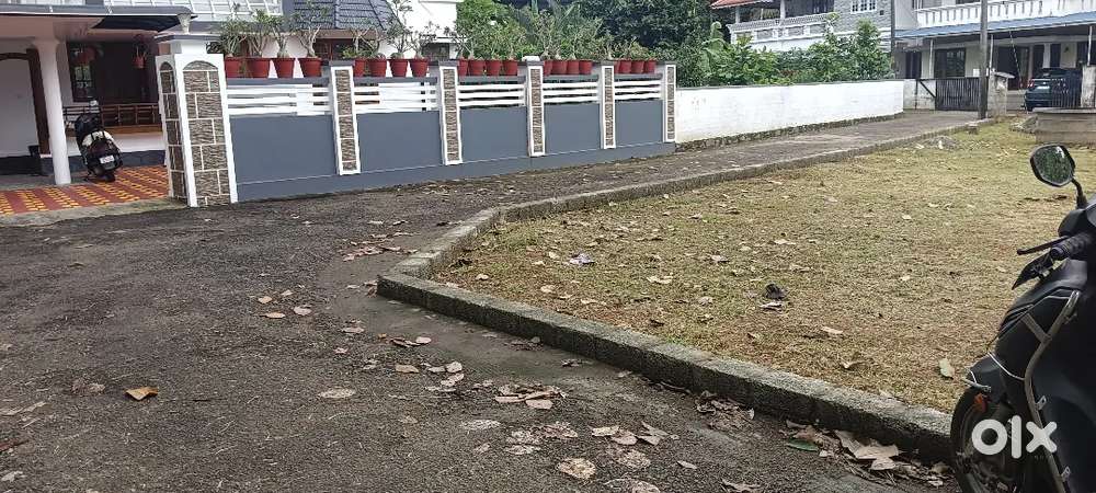 Aluva alangad 4 ct 5 ct house plot ct 5 lk