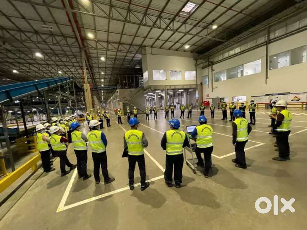 Warehouse job freshers