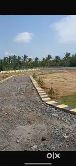 Plot for sale (Parambu)