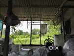 4 vidha jamin che tabelo banave lo che te bhade aapva nu che