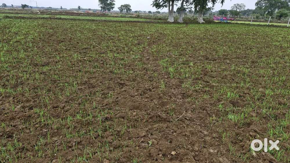 Agriculture land sell