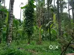 Agricultural land with farm house