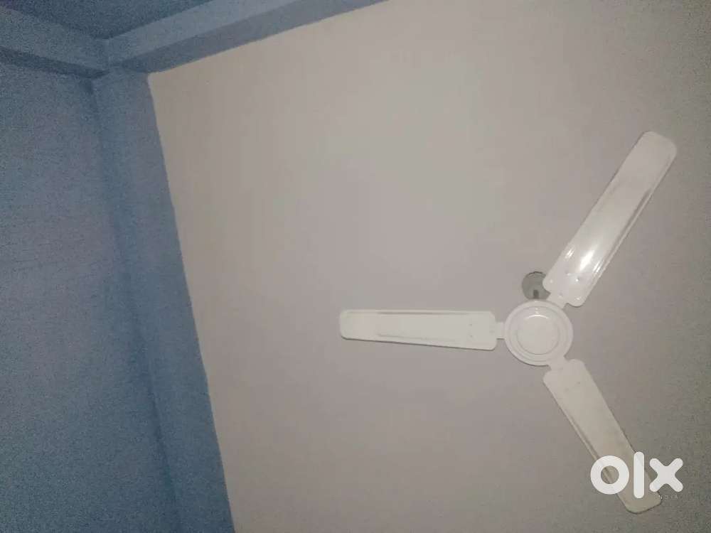 2000 Room rent only for girls