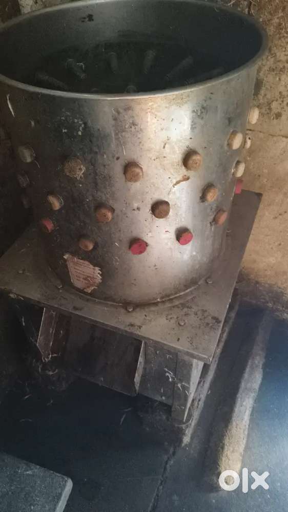 Hen cleaning mission