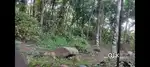 Plot for sale,50 CENT purayidam property near Amaljyoti college