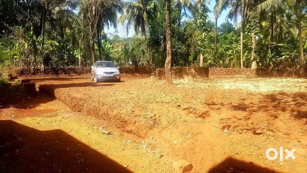 Near padichal thattummal mechadam tar road 10 cent