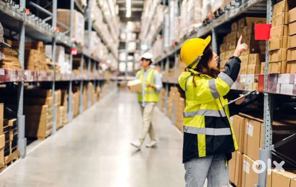 Logistic helper and supervisor & Resort helper
