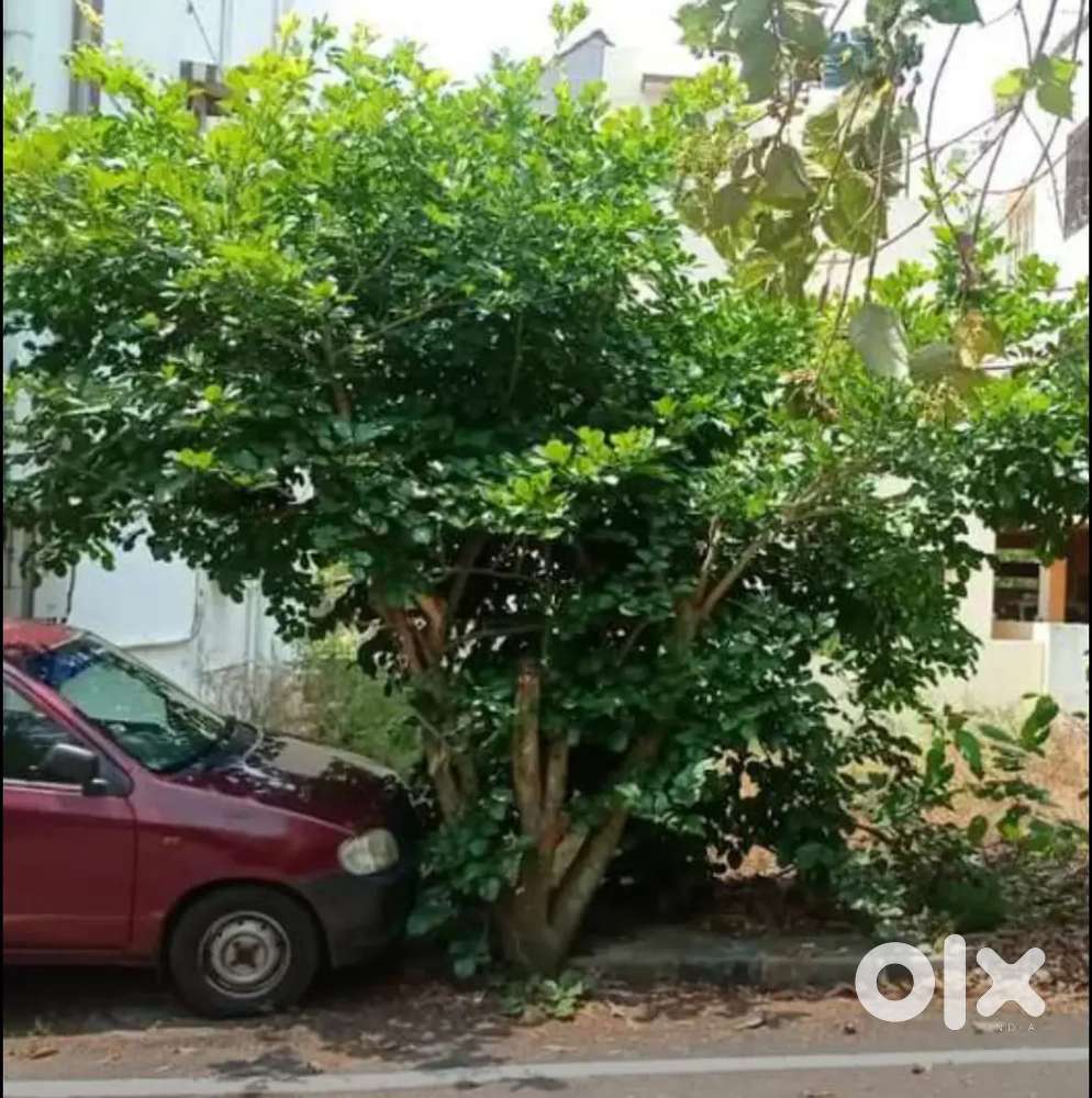 20/30 BDA SITE IN 2D BLOCK 9 TH PHASE FOR SALE In   ANJANAPURA BDA