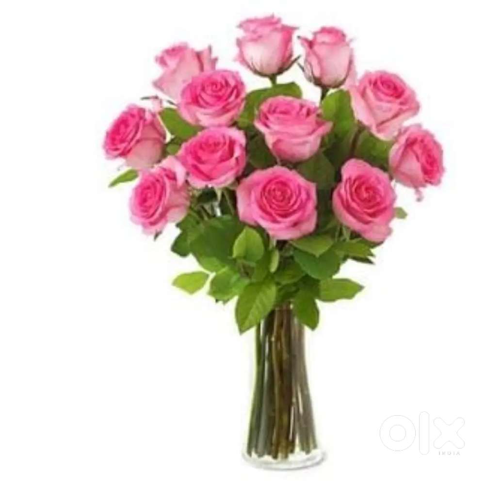 Shop near hydrabad gate BHU