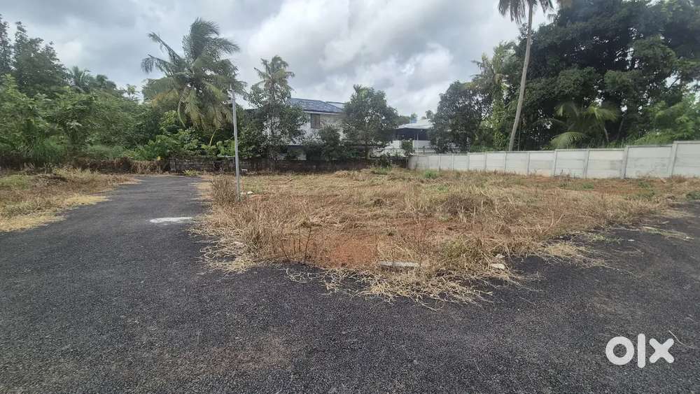 6 cent plot for sale Thrissur