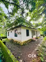 House for rent new paint