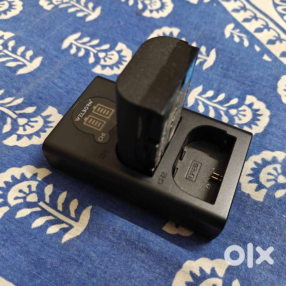 Wellborn LP E6N Dual charger with extra battery for Canon DSLR cameras