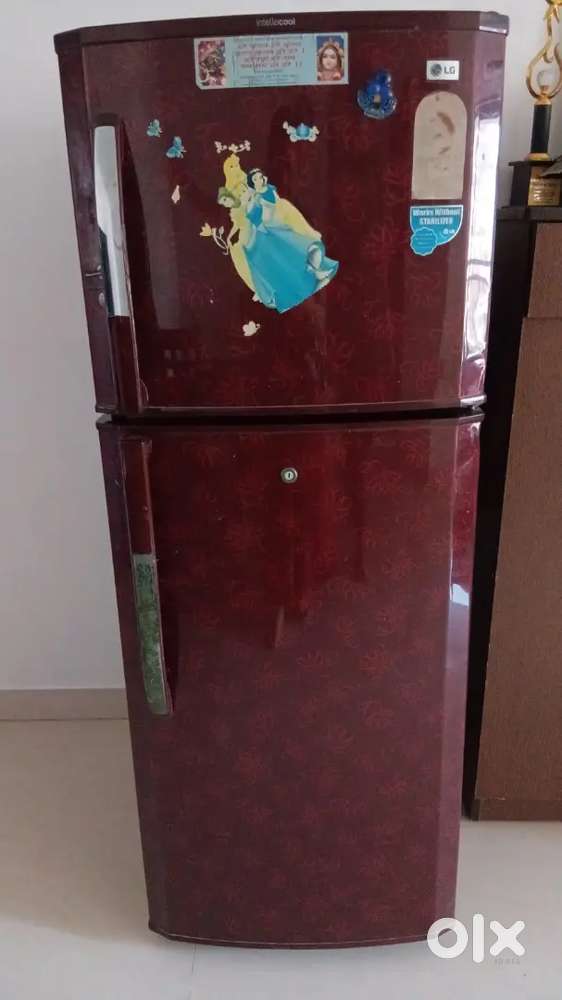 Double door LG fridge in excellent condition available