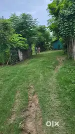 Land for sale in Bamunpukhuri  block 1