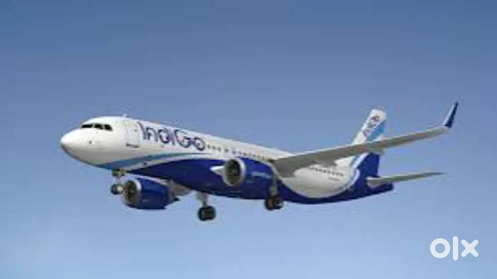 Full Time Jobs In Indigo Airlines Vacancy Available For Ground Staff