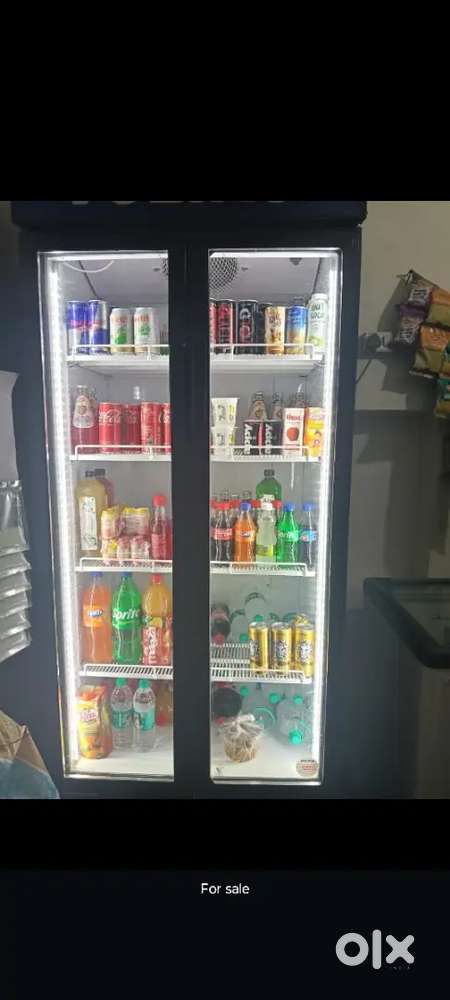 Display fridge double door