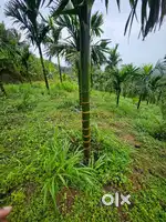 3acre land for sale