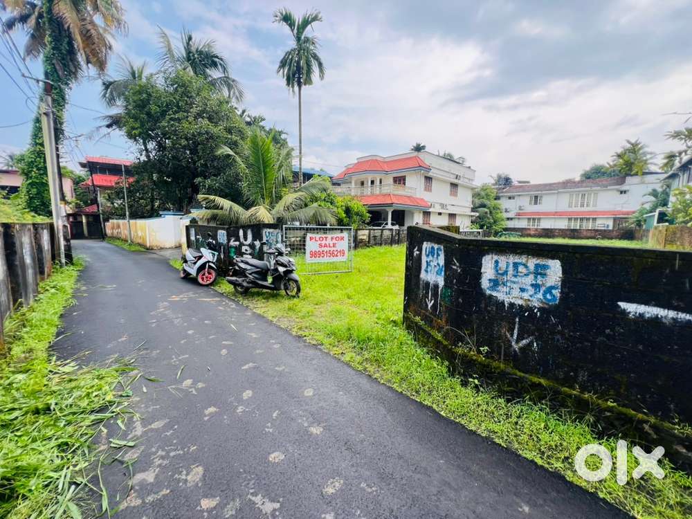 Aluva Thottakattukara 8cent cent 7.50lakh