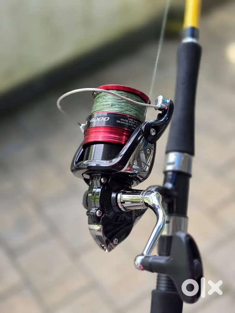 Fishing reel and rod
