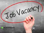Driver Job